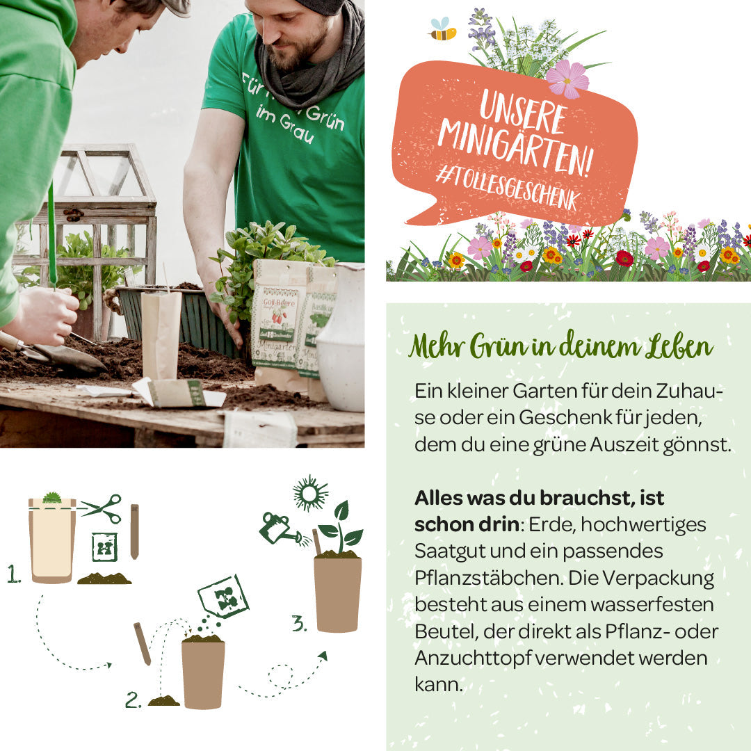 Anzuchtset – Minigarten Zitronenmelisse
