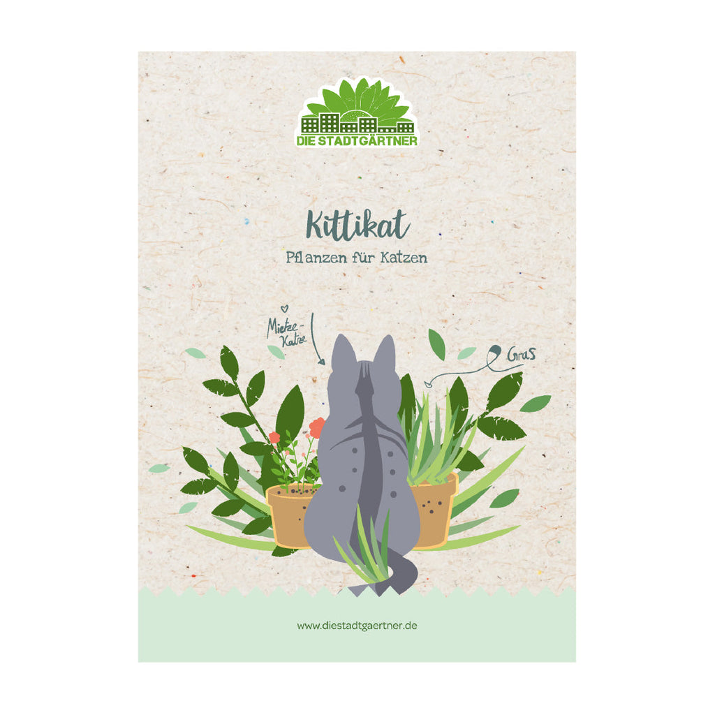 Kräuterkiste "Kittikat"