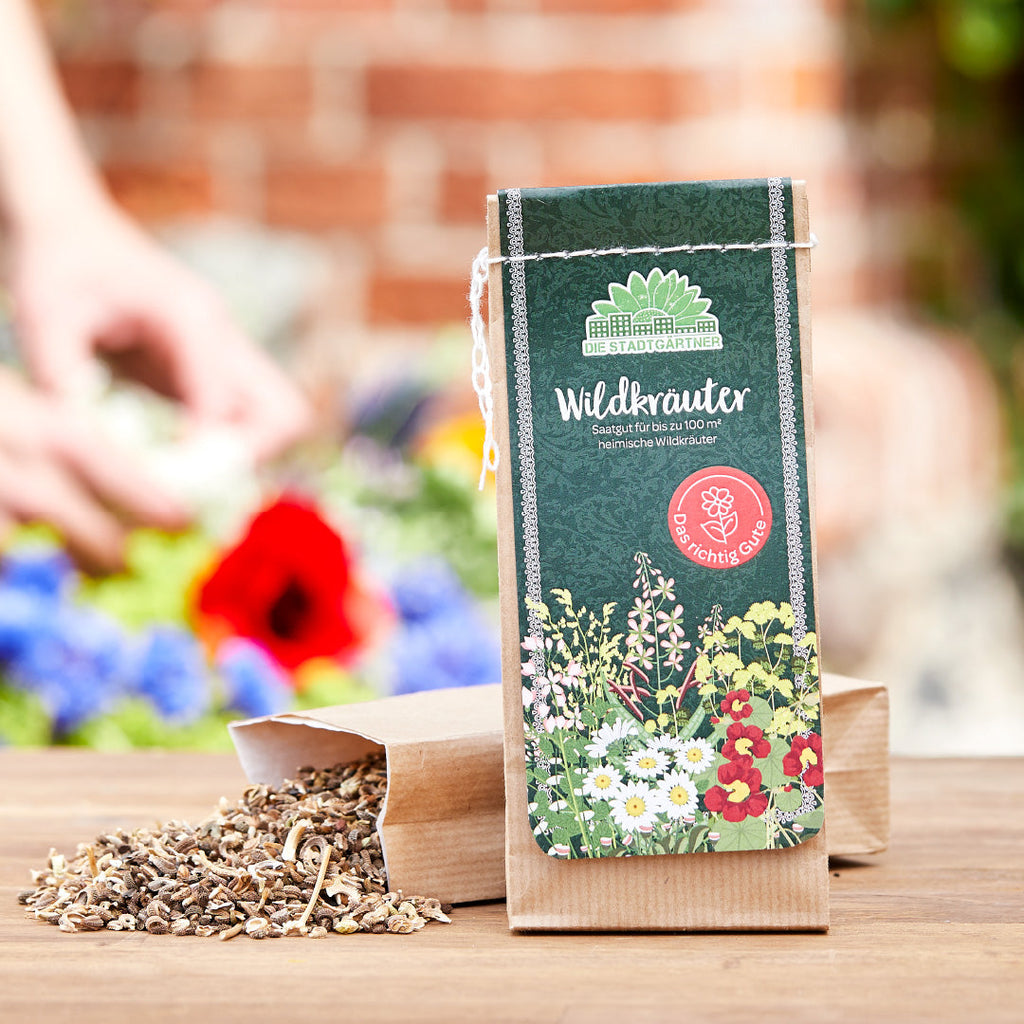 100 g Wildkräuter-Saatgut
