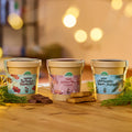Festliches Anzucht-Set – 3 weihnachtliche Sorten