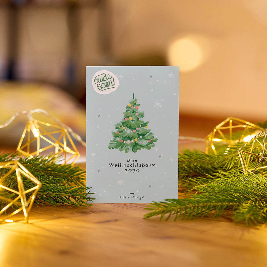 Fichten-Saatgut "Weihnachtsbaum 2030"