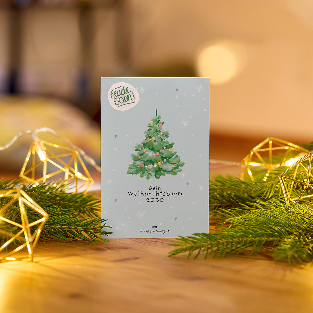 Fichten-Saatgut "Weihnachtsbaum 2030"