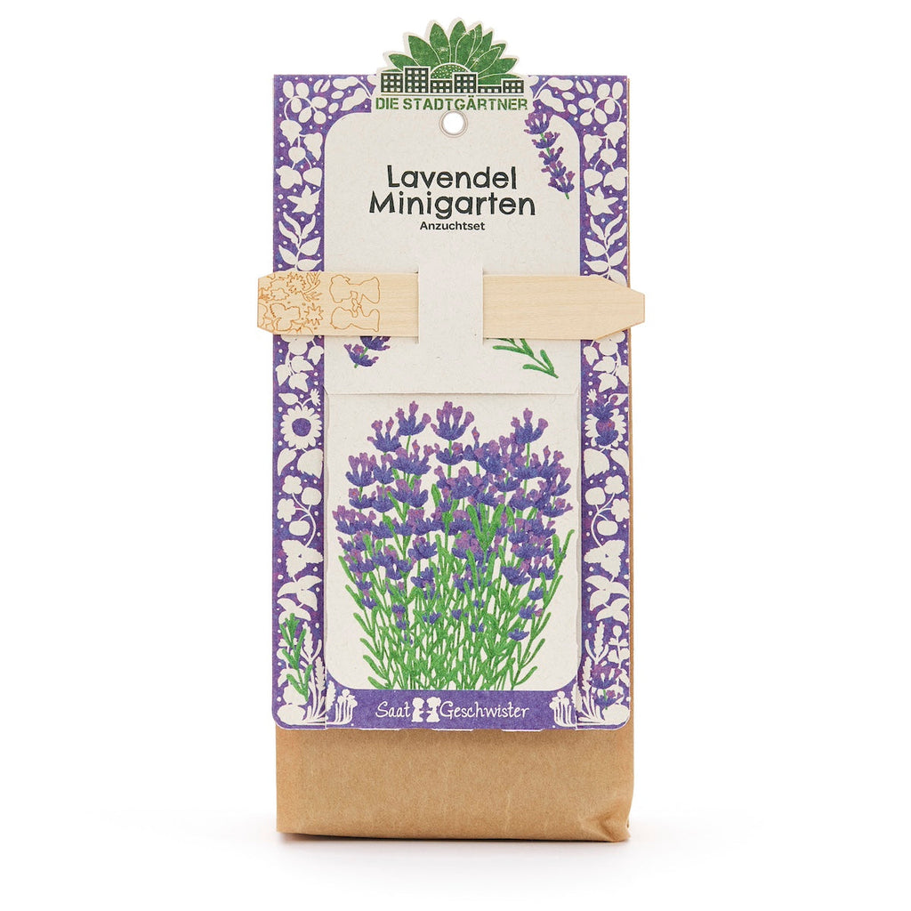 Anzuchtset – Minigarten BIO-Lavendel