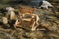 Flußrad von Kraul auf Steinen im Bach, Nahaufnahme