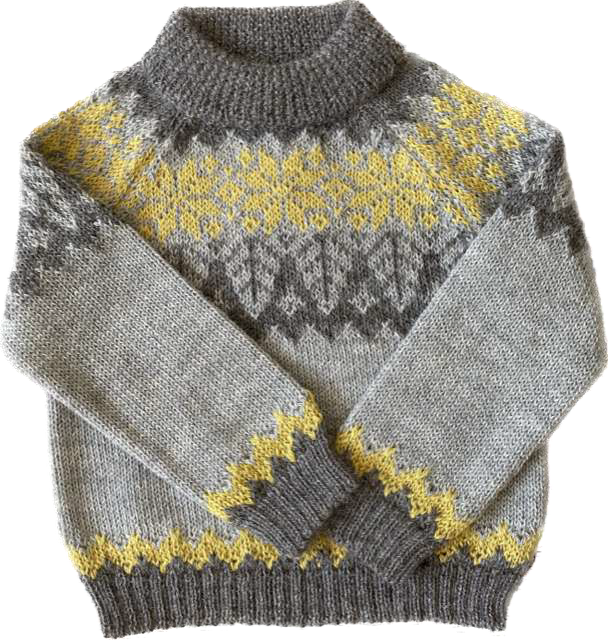 Sweater Variante 10