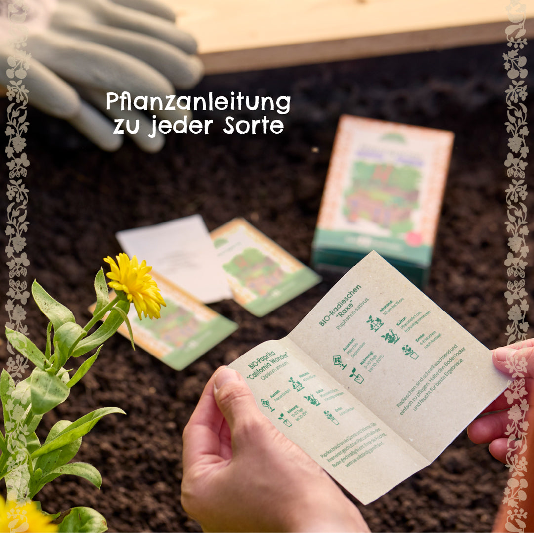 BIO-Saatgut-Set "Balkongemüse"
