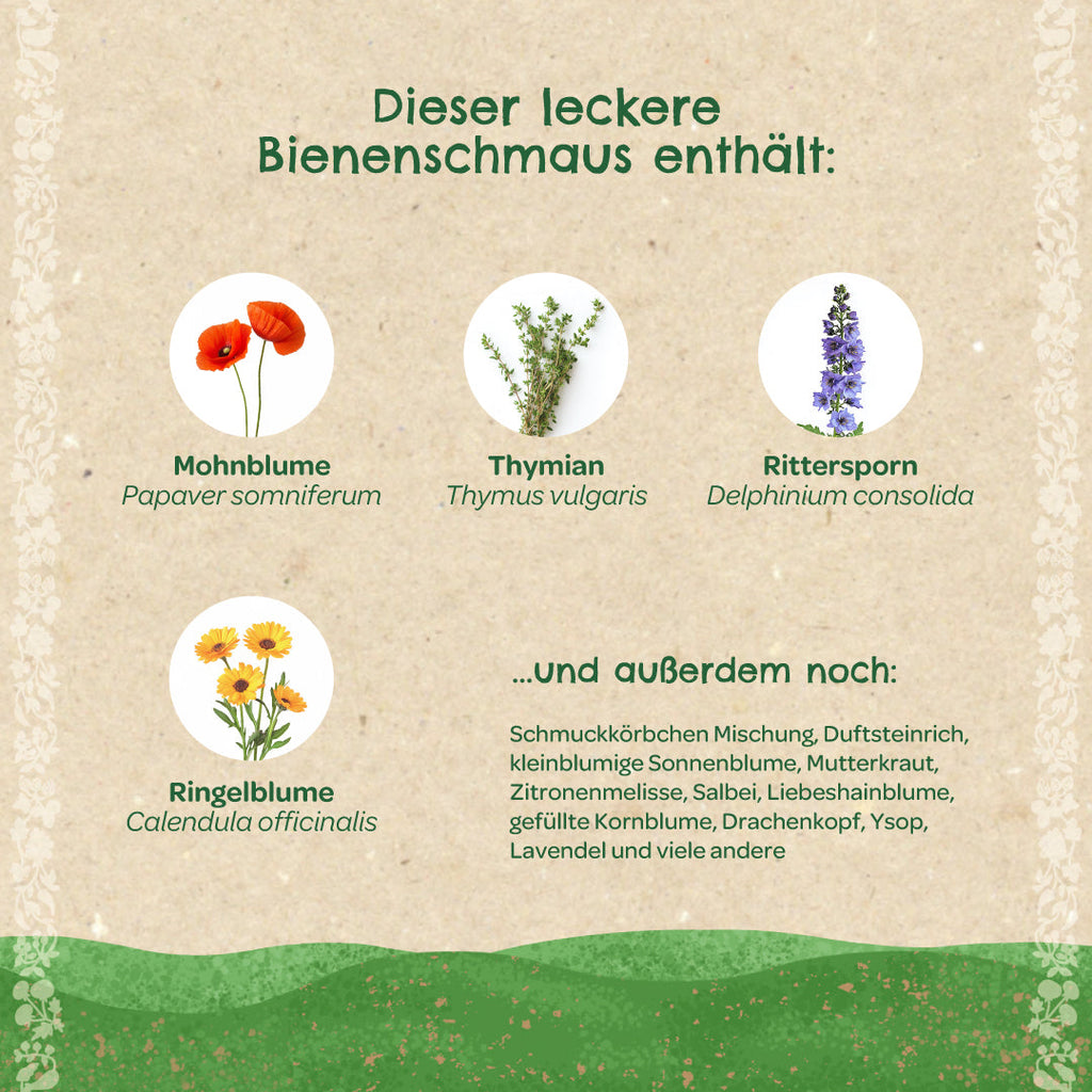 Saatkugeln "Bienenschmaus"