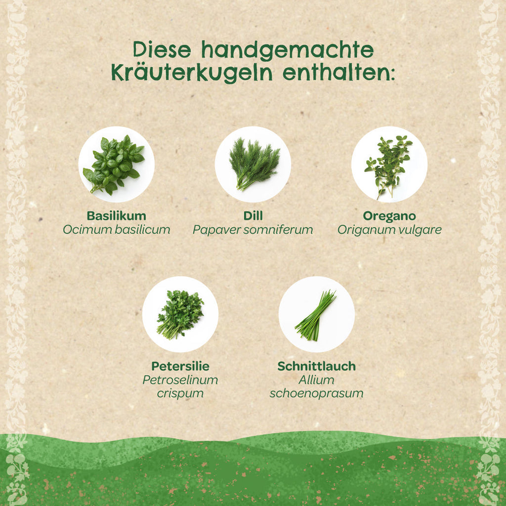 Kräuterkugeln – Saatkugeln mit Kräutern